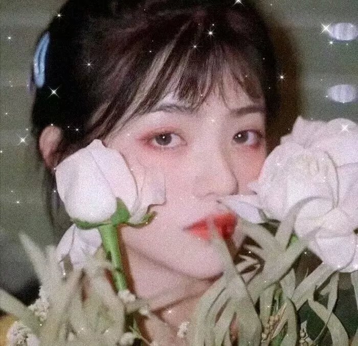激情家族