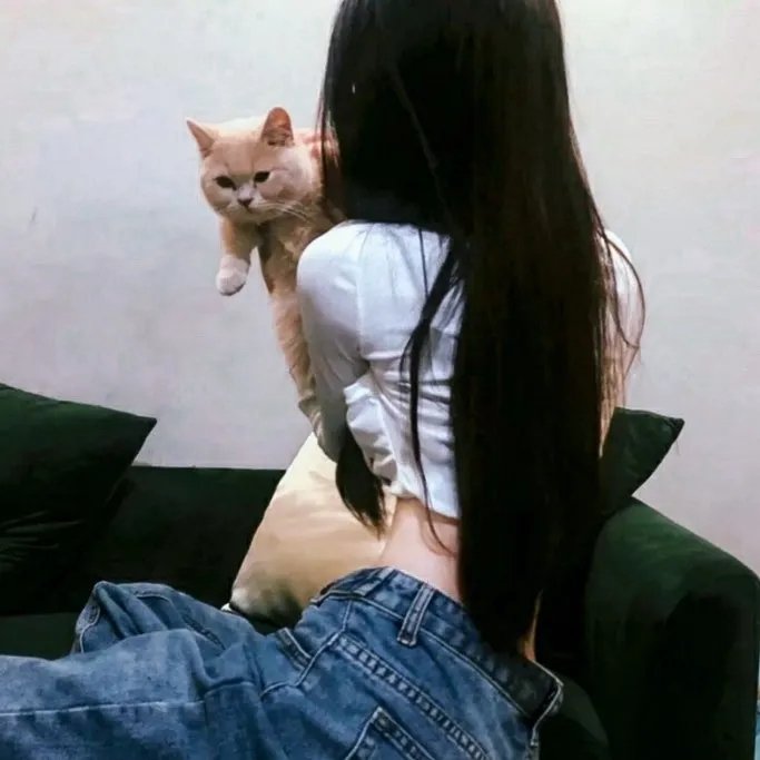 一等家丁